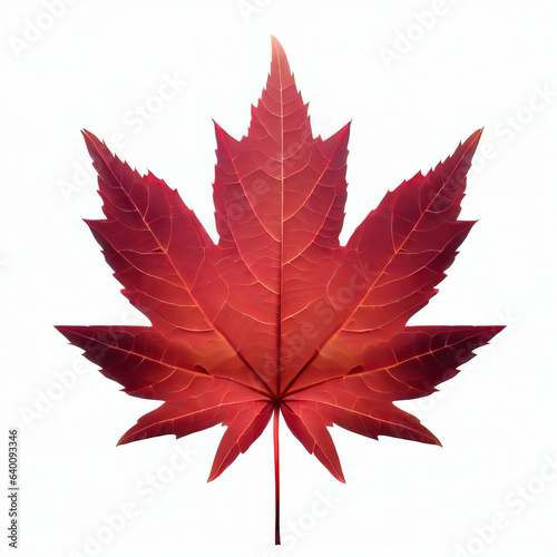 a red maple leaf with a white background and a white background Generative AI