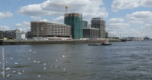 Construction site, HafenCity, Seagulls, Tugboats, Port, Hamburg, Germany, Europe photo