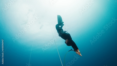 Картината върху платно Freediving on the rope in a sea