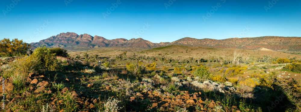 Sunrise on Flinders Range Mountains