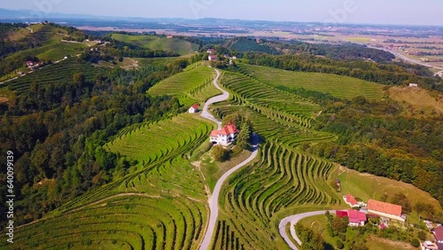 Stunning aerial 4K drone footage of Haloze, Slovenia. It is a picturesque region in northeastern Slovenia known for its rolling hills, lush vineyards, and rich cultural heritage. Filmed in the summer. photo