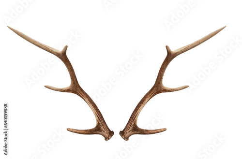 Christmas elements antlers hunting elk horns PNG easy to use © Magic