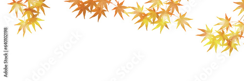 紅葉　もみじ　秋　背景