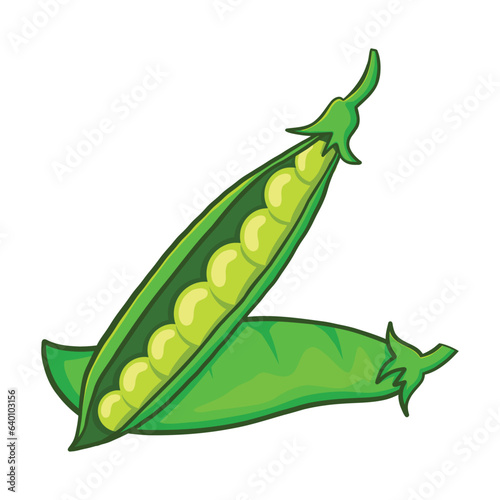 green peas isolated illustration on white background. vector