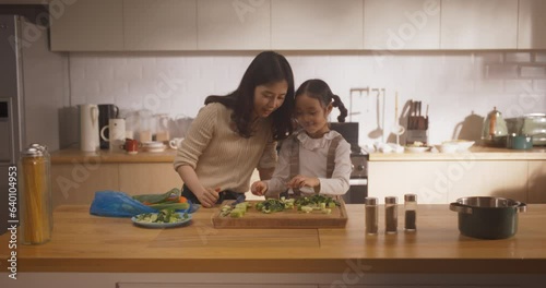 Portrait of Korean Woman and Daughter in the Kitchen Cooking Together. Mother Teaching her Little Girl How to Cut Vegetables. Female Child Helping her Mother with Preparing Lunch. Happy Childhood photo