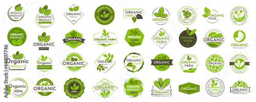 Set of Organic product logo. Food stamps, badges and emblems with leaves