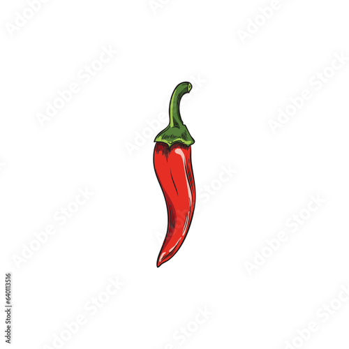 Red chili pepper, colorful cayenne paprika plant whole pod, hot spicy vegetable vector hand drawn illustration