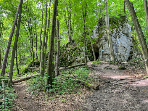 Ostreznicka Cave in the area of Zloty Potok in the Jura Krkowsko-Czestochowska in Poland photo