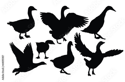 The set silhouettes of geese.