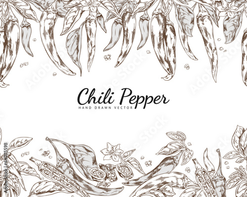 Chili pepper seamless border in hand drawn sketch style, vector illustration on white background.
