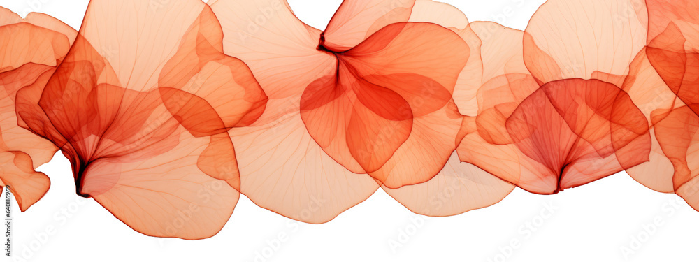 Naklejka premium Abstract texture background illustration banner of red organic mushroom petals flowers details, isolated on transparent background png