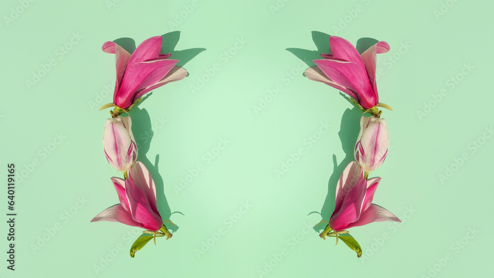 Creative spring layout made of pink tulips and magnolia flowers on pastel mint background. Minimal spring concept. Creative spring idea. Flowers frame. Flat lay. 8k photography. Floral wallpaper. Creative spring layout made of pink tulips and magnolia flowers on pastel mint background. Minimal spring concept. Creative spring idea. Flowers frame. Flat lay. 8k photography. Floral wallpaper.