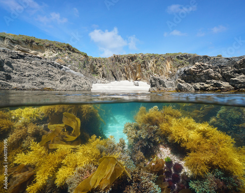 Rocky coastline with a sandy beach and algae underwater Spain