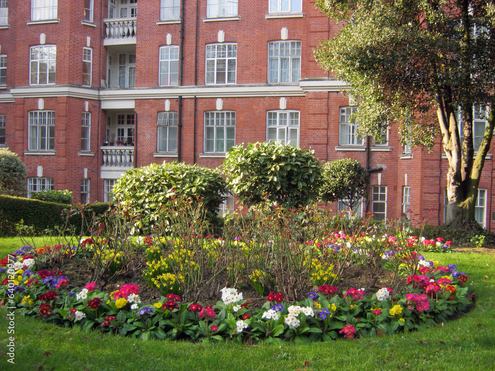 February London flowerbed against the backdrop of a red brick house