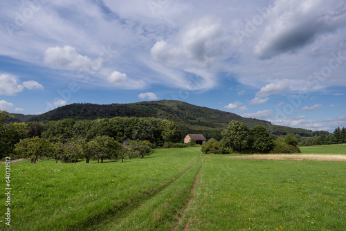 Blick zum Donnersberg aus Richtung Süden