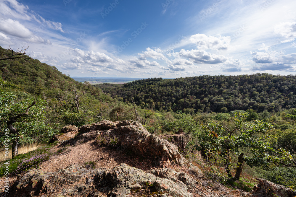 Wildensteiner Tal am Donnersberg