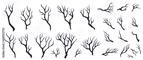 Set of dry broken trees branches  different sizes isolated on white background