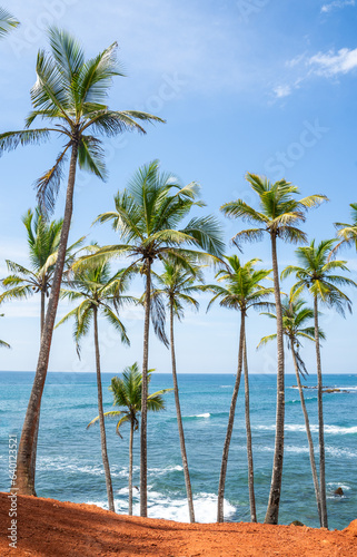 Famous Coconut Tree Hill in Mirissa  Sri Lanka Beach next to the Indian Ocean