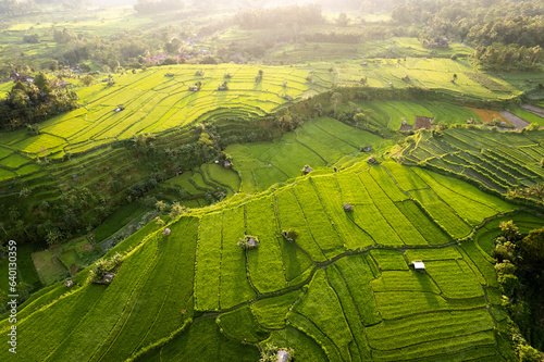 Aerial sunrise view of green rice fields close to Sidemen in Bali, Indonesia 