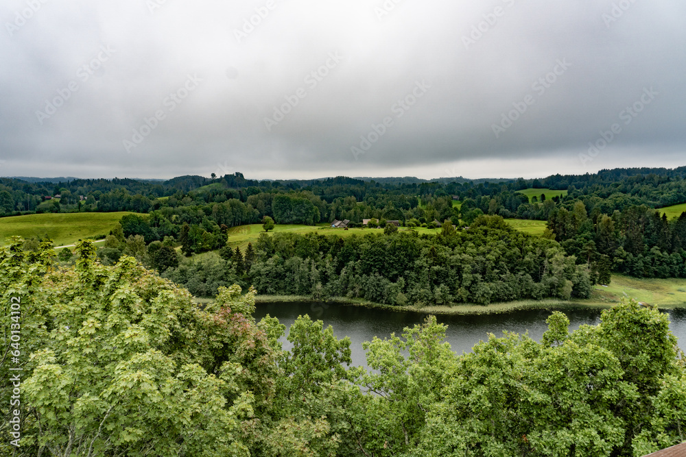 The view also overlooks the lake among the trees. Idyllic Nature Panorama: Green Woodlands, Lush Meadows, and a  Lake. Harmony of Elements: Vibrant Forests, Meadows, and a Serene Lakeshore. 