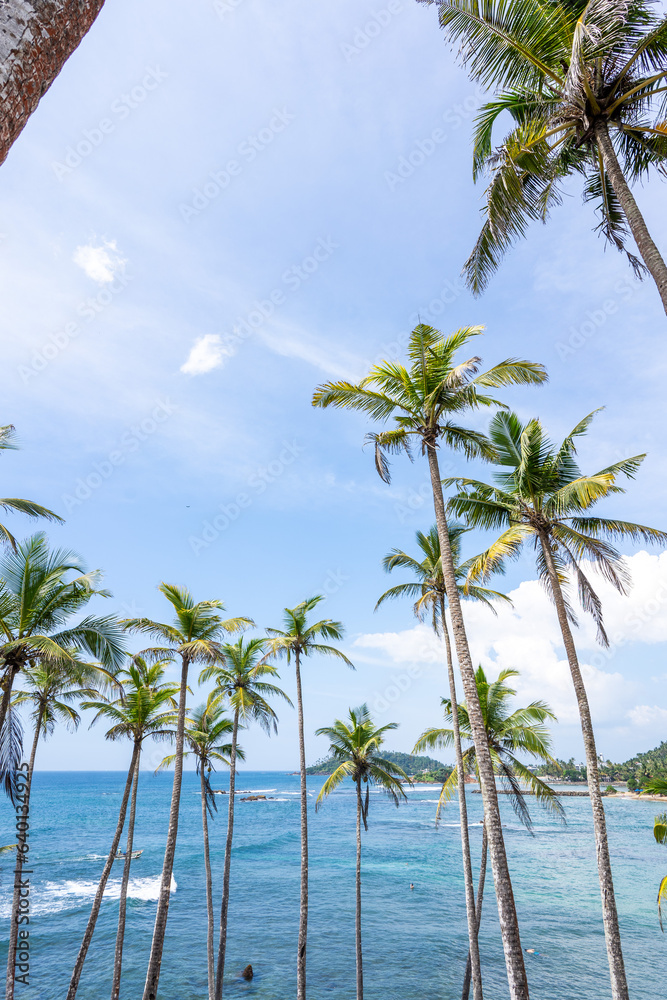Famous Coconut Tree Hill in Mirissa, Sri Lanka Beach next to the Indian Ocean