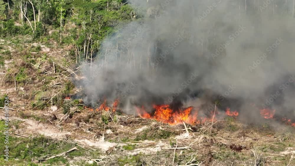 Amazon wildfire burning trees for deforestation, huge flames burning Amazon wildfire burning trees for deforestation, huge flames burning