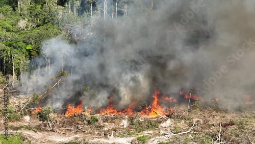 Details of flames burning in Amazon rainforest wild fire - cinematic aerial shot photo