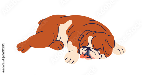 Cute dog lying, sleeping. Tired puppy of English bulldog relaxing. Funny doggy asleep. Adorable lovely chunky pup resting with tongue out. Flat vector illustration isolated on white background