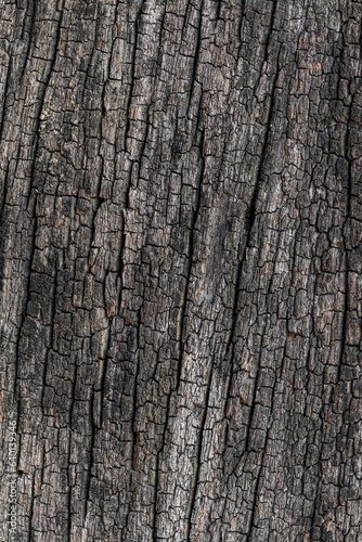 old wood texture