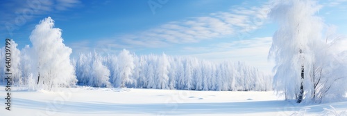 snowy idyllic winter landscape panorama, frost winter forest background, border from snow cover and fir tree