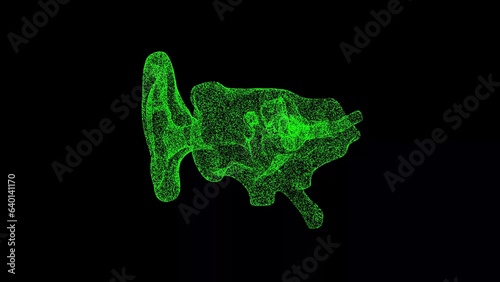 3D Ear Anatomy on black background. Ear inner anatomy section. Business Advertising backdrop. For title  text  presentation. Object dissolved flickering particles. 3d animation.