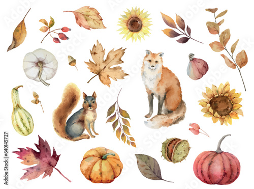 Watercolor vector autumn set with fox, squirrel, pumpkins and foliage.