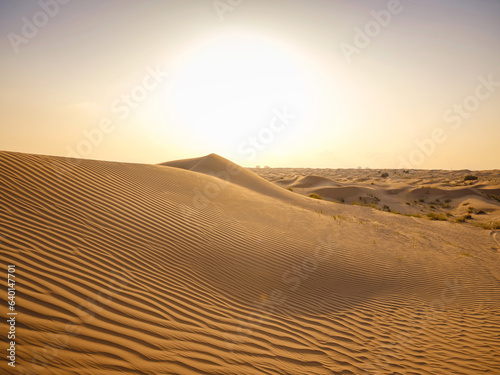 Fantastic view of Landscape with Sand Dune at sunset, Liwa Oasis, Abu Dhabi, UAE. Water crisis and World Climate change.