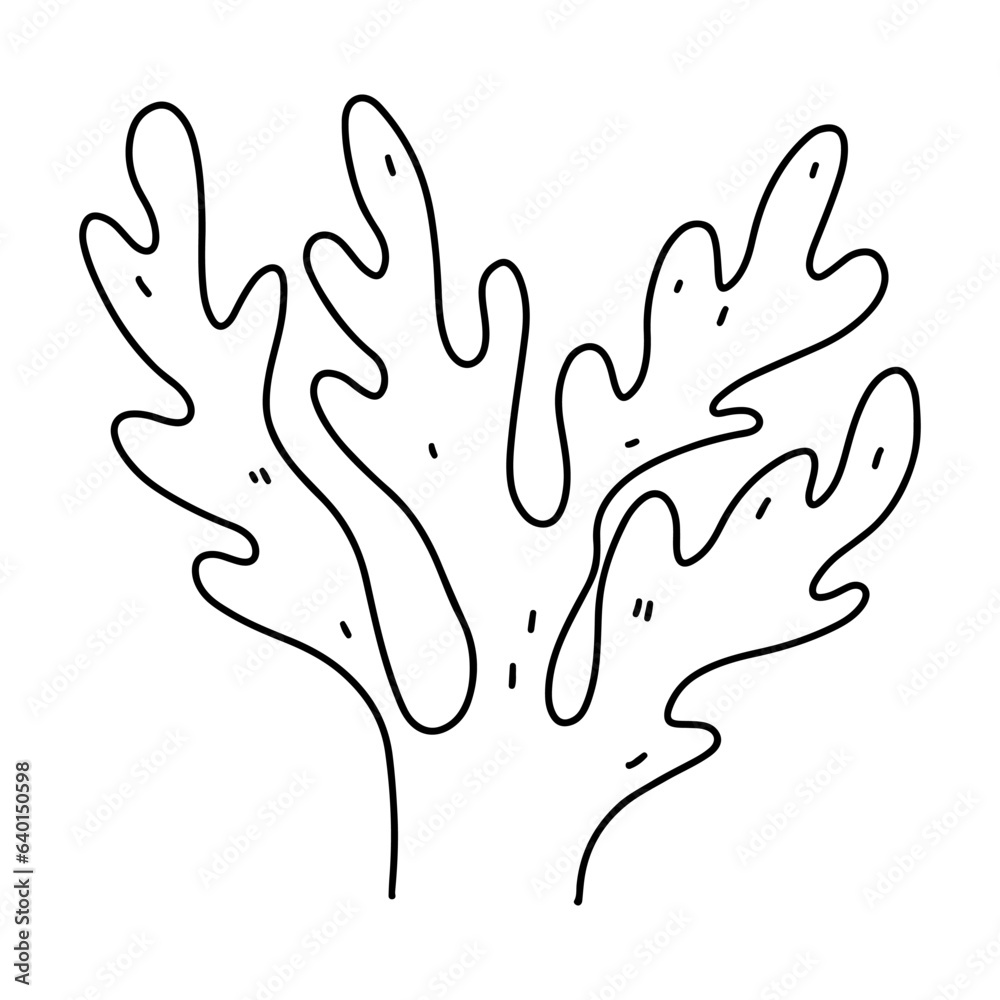 Obraz premium Seaweed. Ocean plant. Hand drawn doodle style. Vector illustration isolated on white. Coloring page.