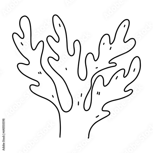 Seaweed. Ocean plant. Hand drawn doodle style. Vector illustration isolated on white. Coloring page.
