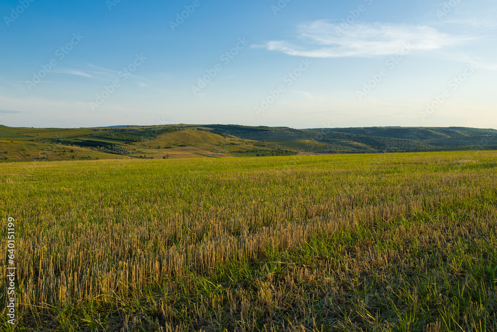 A magical evening atmosphere during the summer. A beautiful plain in the fields of Moldova