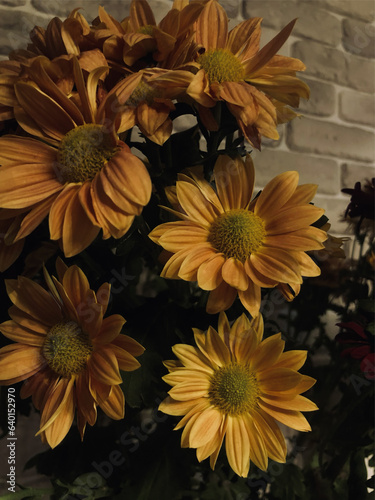 yellow flowers background