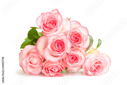 Beautiful blossom pink rose flowers bouquet isolated on white background