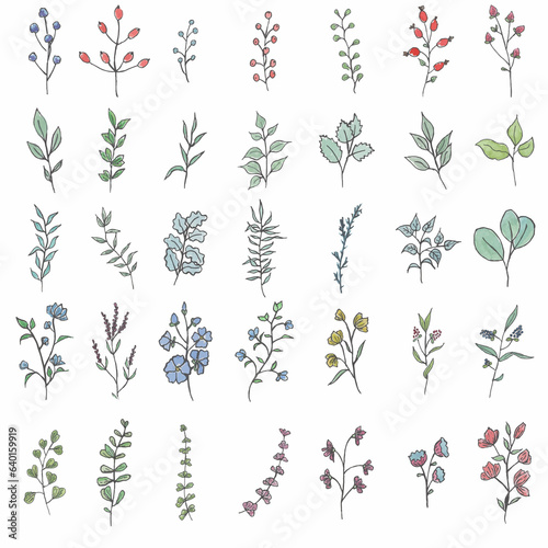 Hand drawn set of wild flowers. Field flowers. Liner and watercolor