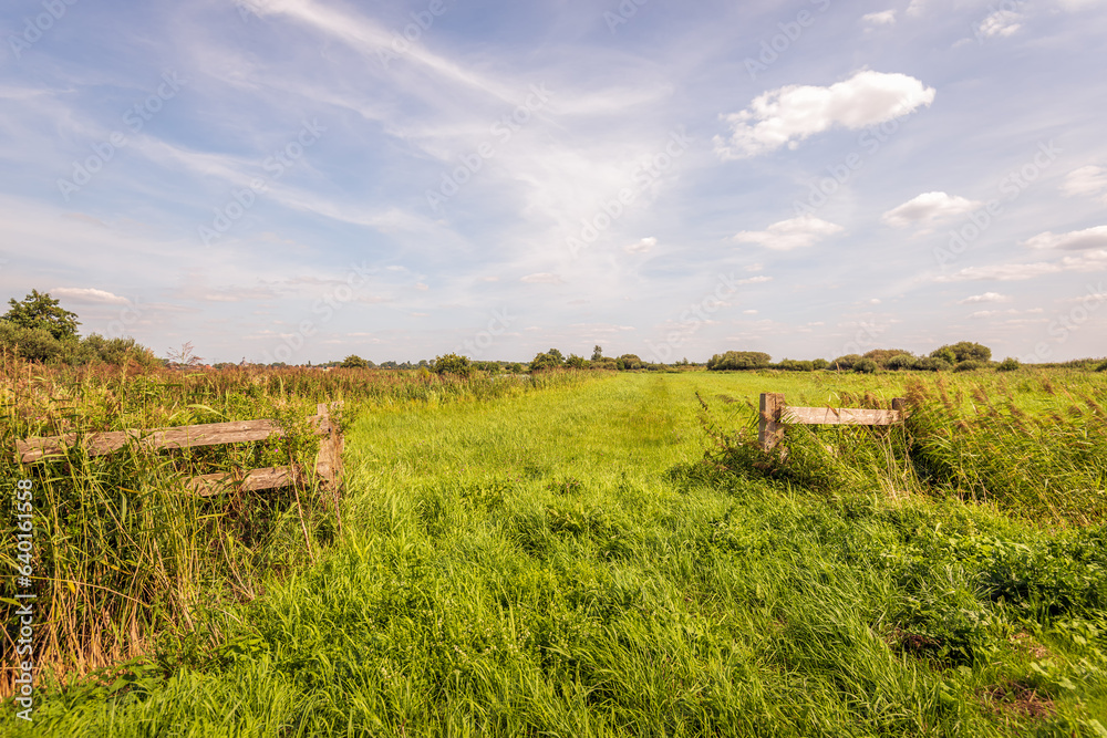 Large grassed area with a wooden fence in the foreground. The site is located in a nature reserve in a Dutch polder in the province of North Brabant. It is a sunny day in late summer.