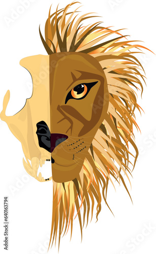 A lion's head half skull half alive.