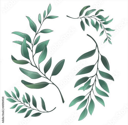 leaves green plant artwork branch