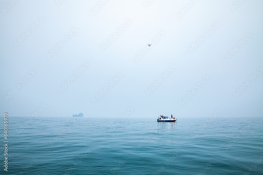 Naklejka premium A flock of whale sharks swim among the tourist boats..The azure sea breaks bubbles from whale sharks..The sea is clear and calm to see schools of fish underwater.