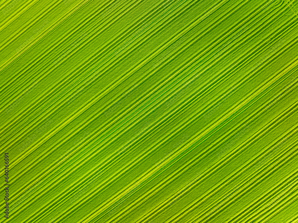 Aerial view of the field. Nature as a background. Landscape from a drone. Light and shadow. Natural background from drone. View from above. Agriculture. Aerial view of the field. Nature as a background. Landscape from a drone. Light and shadow. Natural background from drone. View from above. Agriculture.