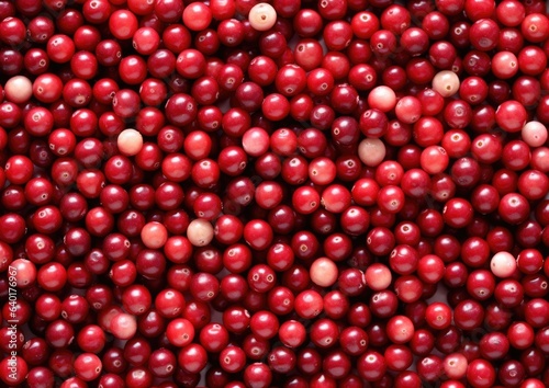 Professional photography of Pattern of Cranberries fruits. Gener