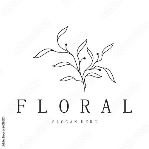 Elegant floral and leaf frame. Delicate botanical vector illustration for labels, spas, corporate identity, and wedding invitations