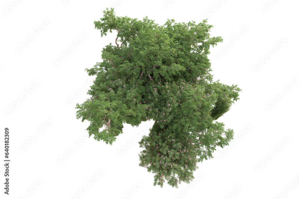Obraz premium Landscape isolated on transparent background 3d rendering illustration