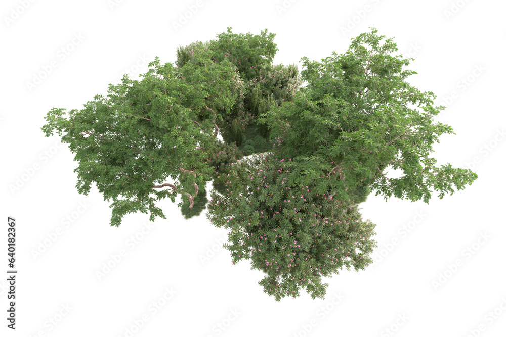 Obraz premium Landscape isolated on transparent background 3d rendering illustration