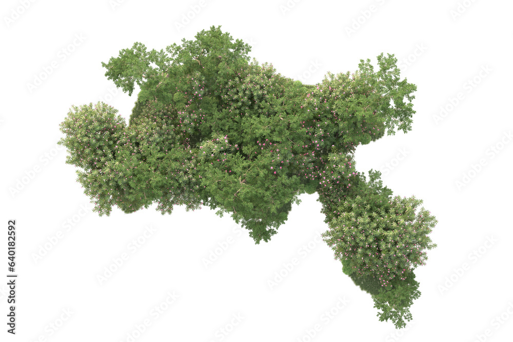 Obraz premium Landscape isolated on transparent background 3d rendering illustration