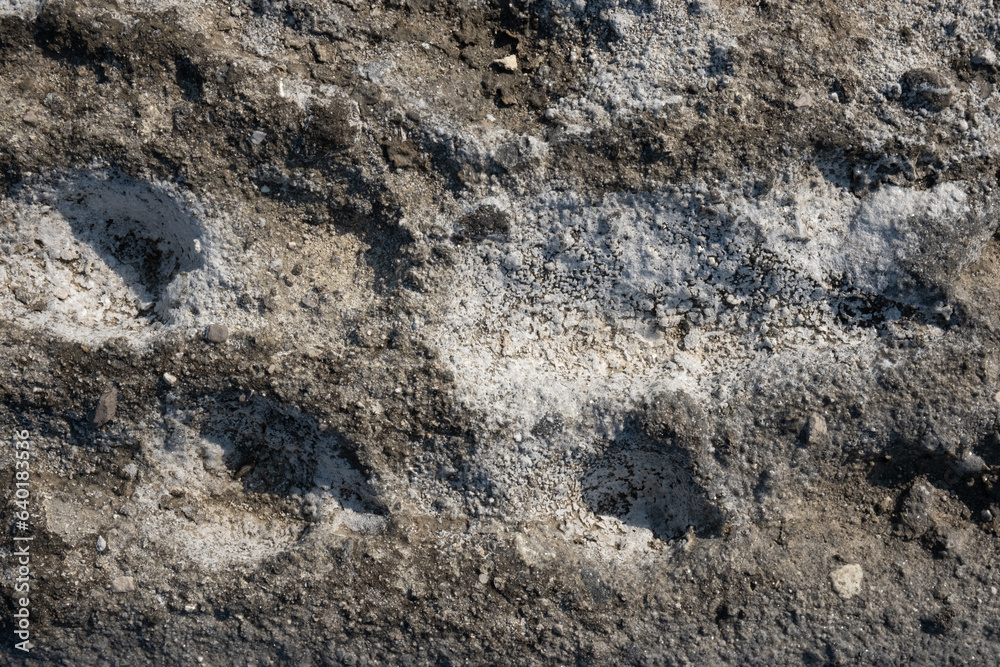 Backgrounds made of rocks and sea salts formed from minerals and above them Backgrounds made of rocks and sea salts formed from minerals and above them